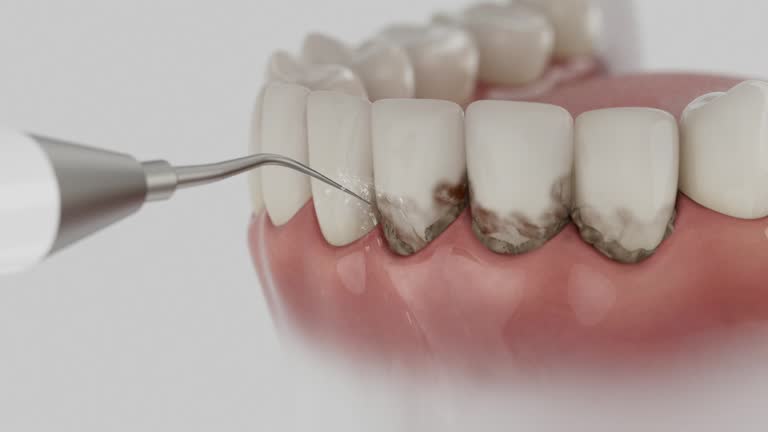 Reliable Dental contractor in West Falls Church, VA by Dentist Open Now